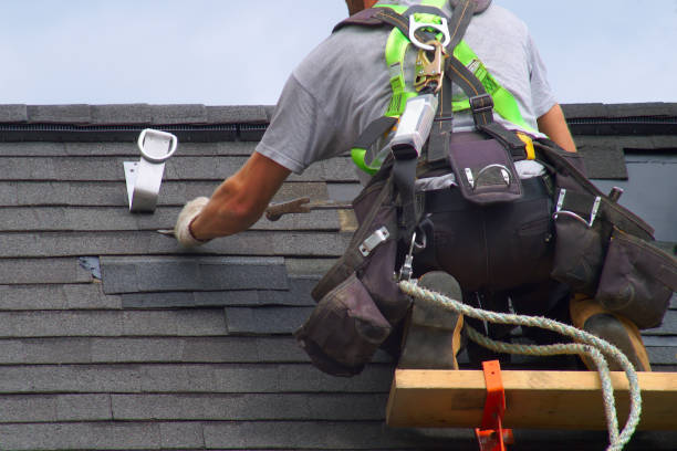 Best Residential Roof Replacement  in Manito, IL