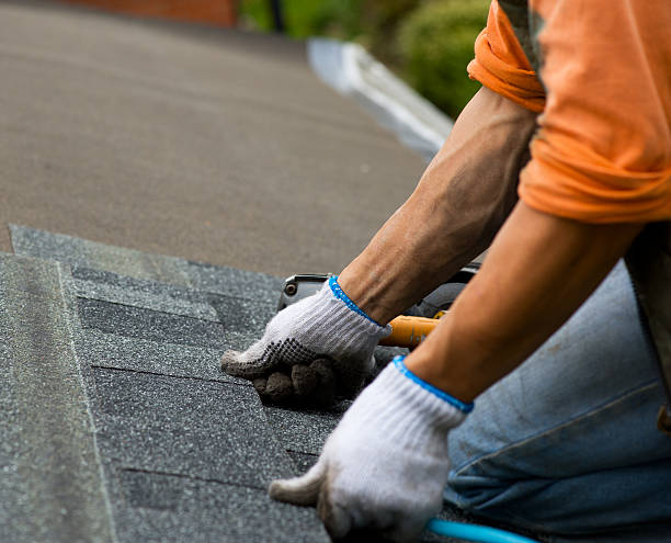 Best Local Roofing Companies  in Manito, IL