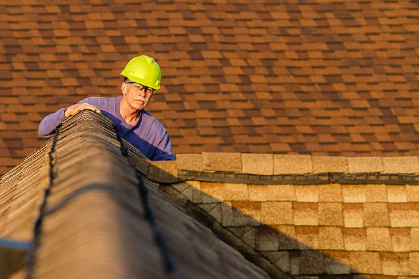 Best Local Roofing Companies  in Manito, IL